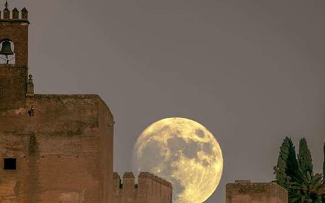 Americans Should Avoid Non-US Mutual Funds